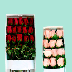 Cajas de Rosas